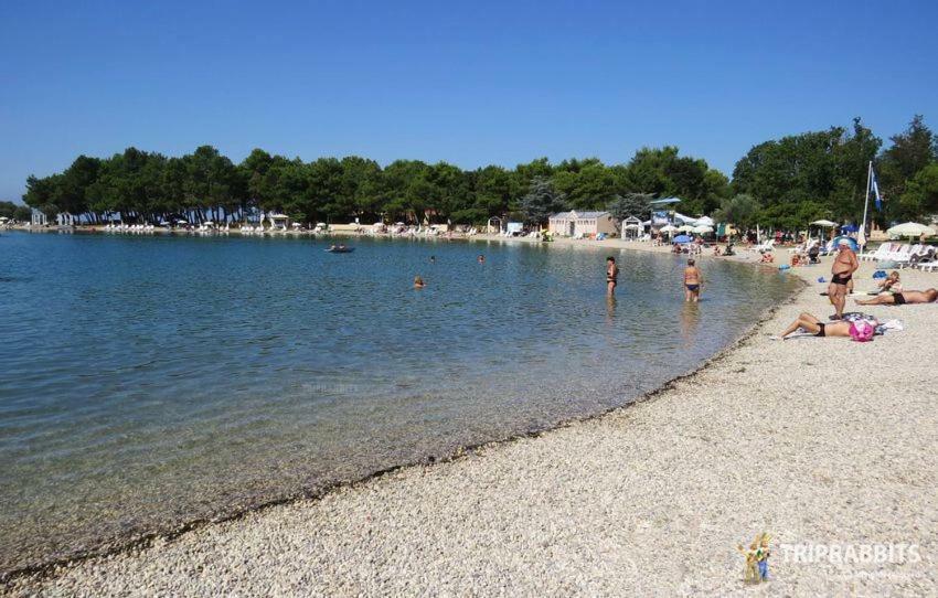 Kuca Za Odmor Petra Apartman Cepljani Kültér fotó